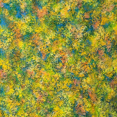 Sunny breeze, 80x60