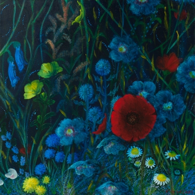 Night poppie, 50x50